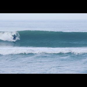 Meet your Posher, Matt